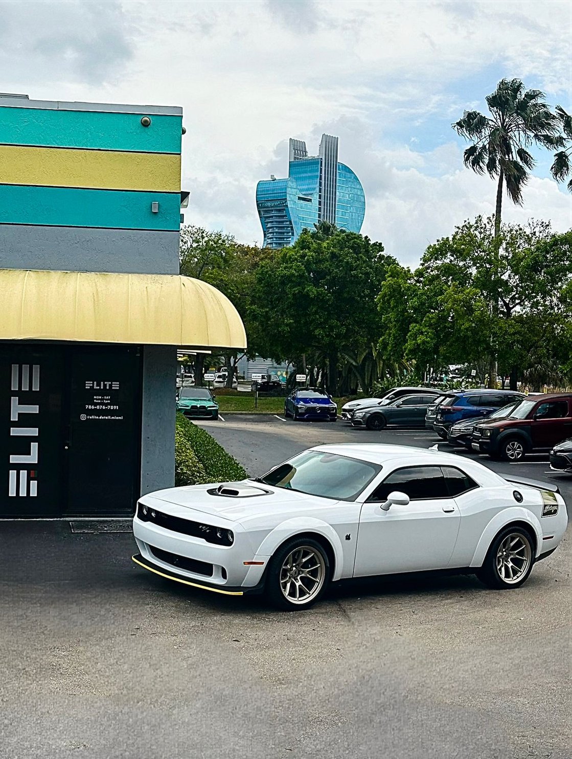 Elite Premium Detailing — Ceramic Pro