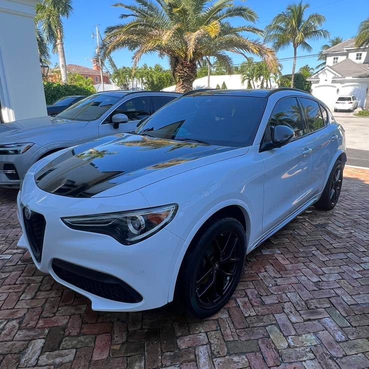 Alfa Romeo Stelvio - White protected at Elite Premium Detailing
