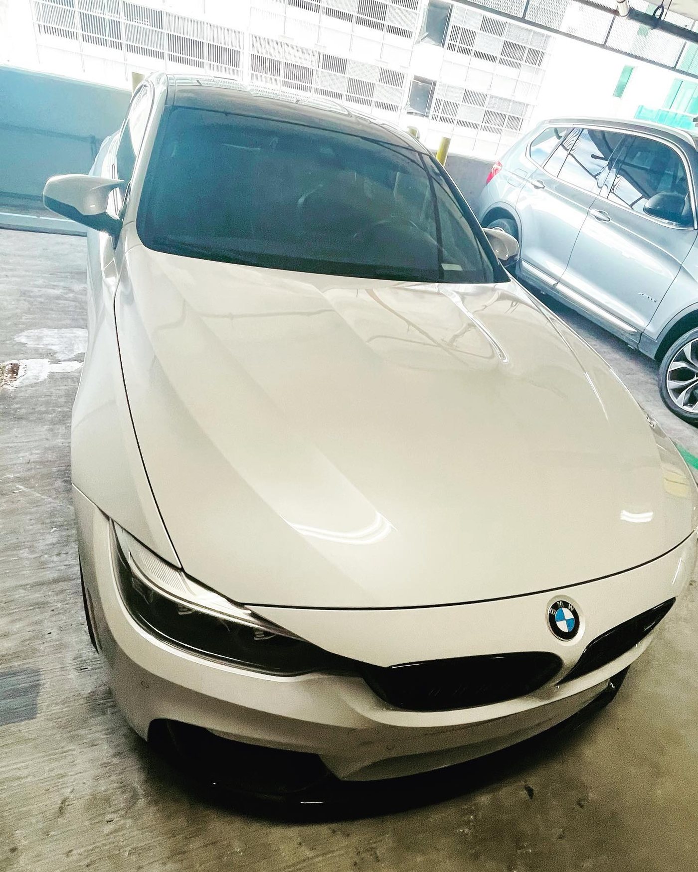 BMW M4 - White protected at Elite Premium Detailing