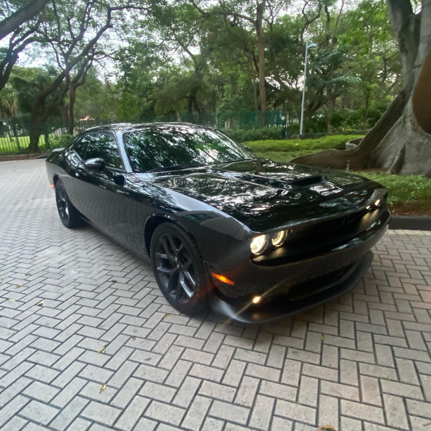 Dodge Challenger - Black protected at Elite Premium Detailing