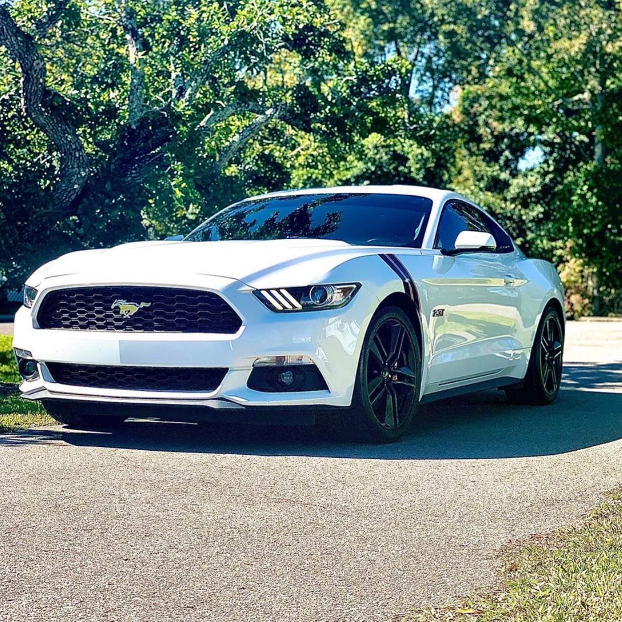 Ford Mustang Convertible - White protected at Elite Premium Detailing