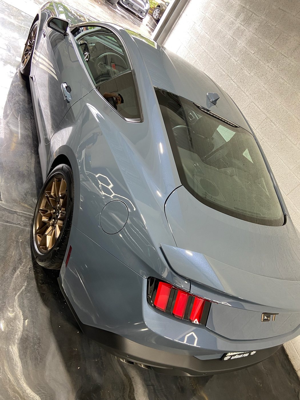Ford Mustang - Gray protected at Elite Premium Detailing