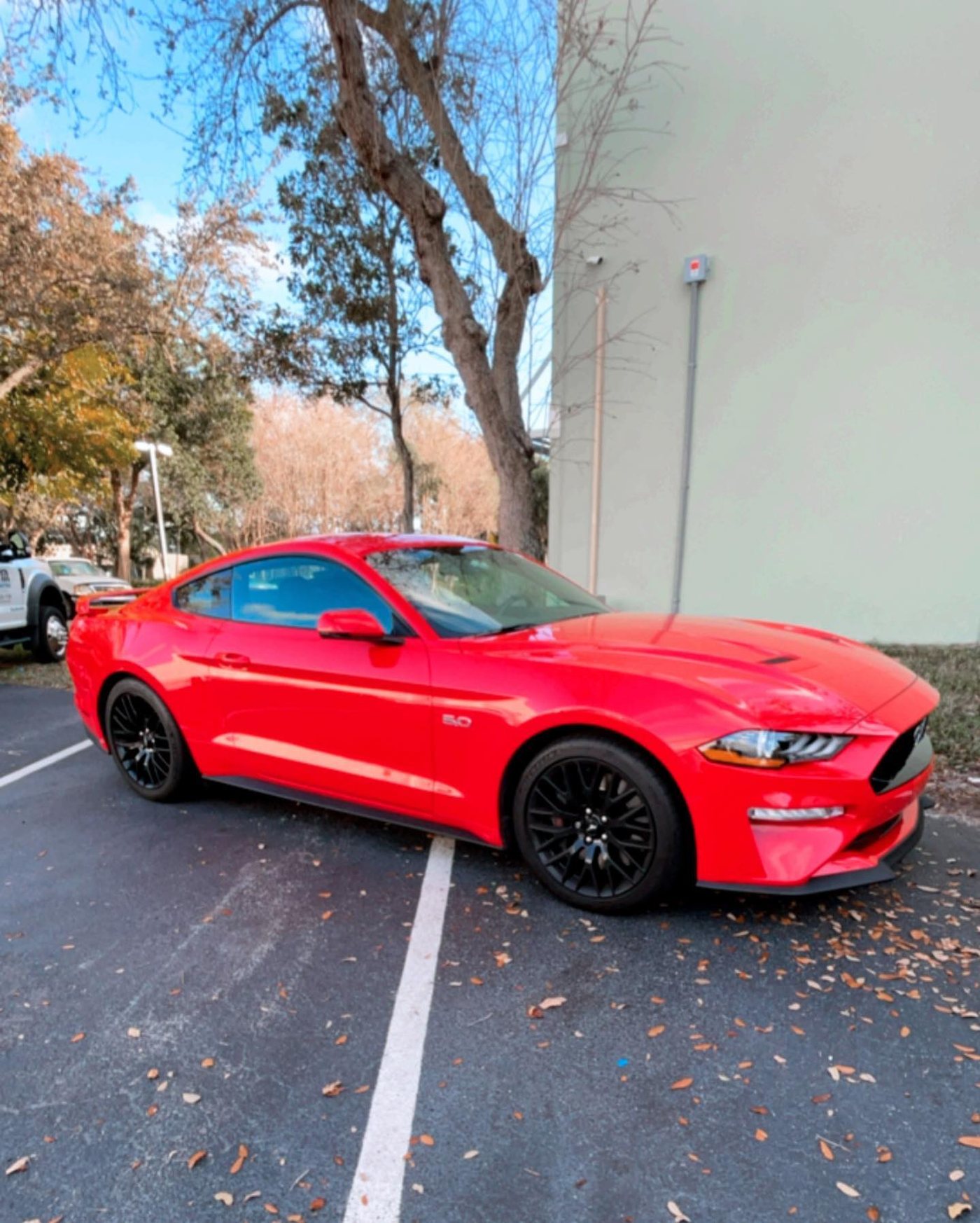 Ford Mustang - Red protected at Elite Premium Detailing