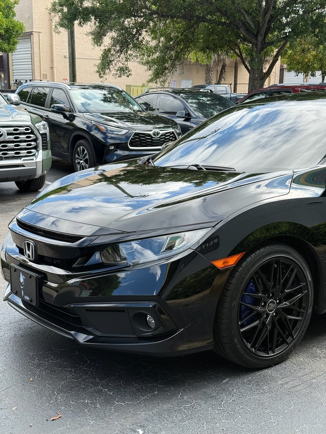 Honda Civic - Black protected at Elite Premium Detailing