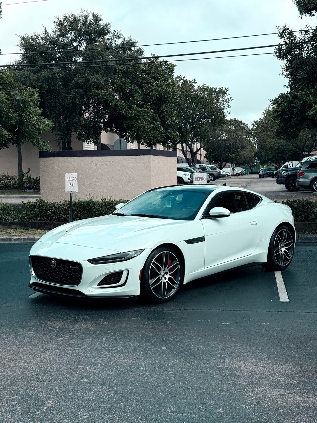 Jaguar F-Type - White protected at Elite Premium Detailing