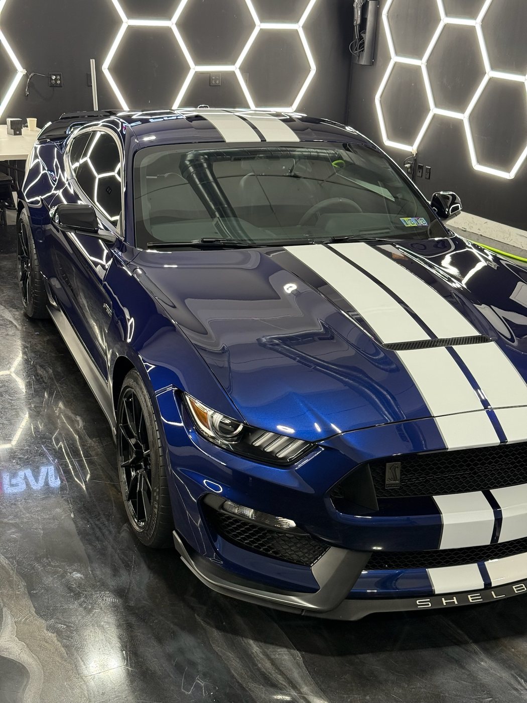 Ford Mustang Shelby GT350 - Blue protected at Elite Premium Detailing