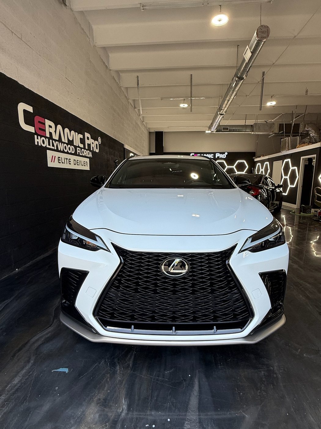 Lexus NX F Sport - White protected at Elite Premium Detailing