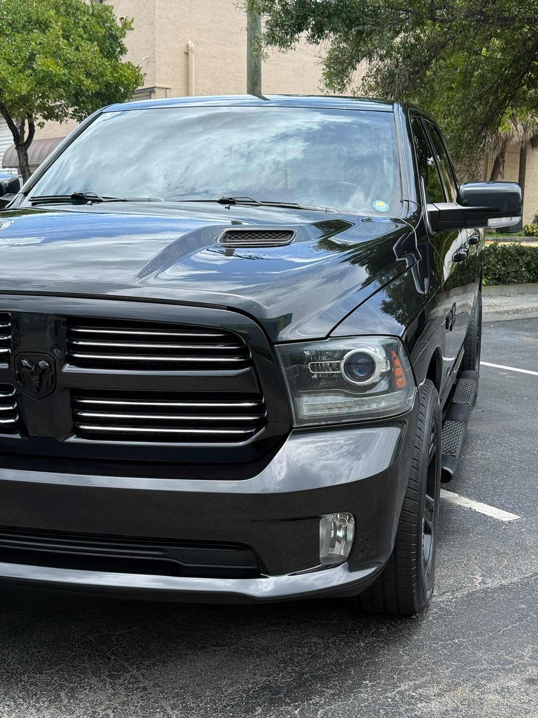 RAM 1500 - Black protected at Elite Premium Detailing