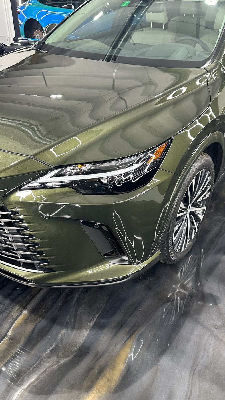 Lexus RX - Olive Green protected at Elite Premium Detailing