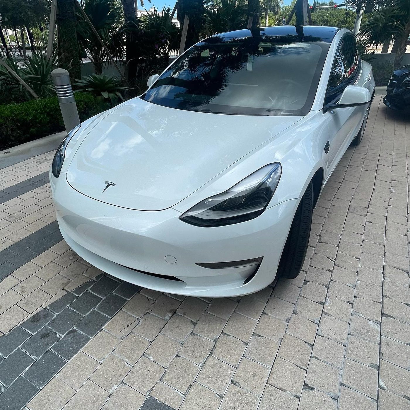 Tesla Model 3 - White protected at Elite Premium Detailing