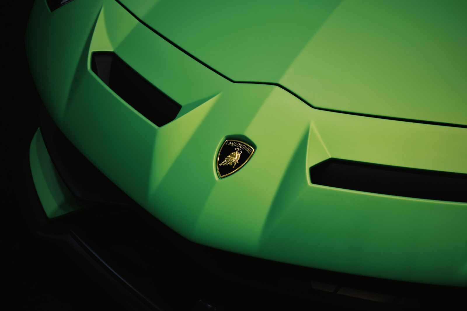 Colored PPF — Elite Premium Detailing Hollywood FL